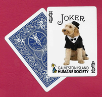 Joker Card 2 202//192